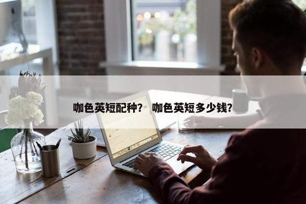 咖色英短配种？ 咖色英短多少钱？