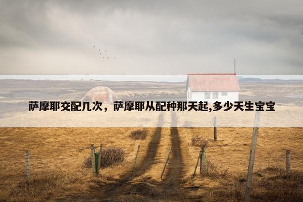 萨摩耶交配几次，萨摩耶从配种那天起,多少天生宝宝
