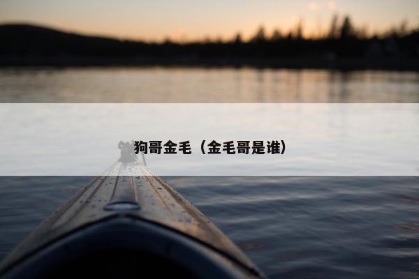 狗哥金毛（金毛哥是谁）