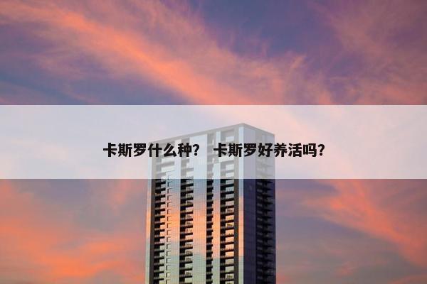 卡斯罗什么种？ 卡斯罗好养活吗？