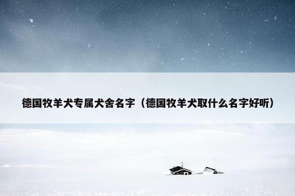 德国牧羊犬专属犬舍名字（德国牧羊犬取什么名字好听）