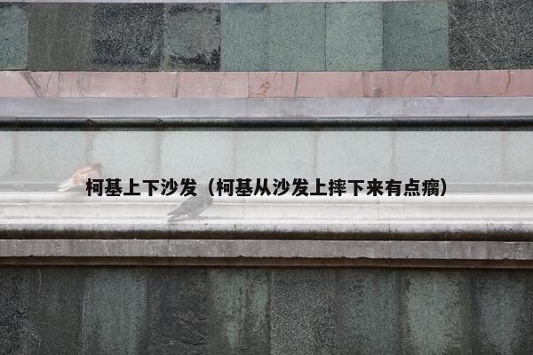 柯基上下沙发（柯基从沙发上摔下来有点瘸）