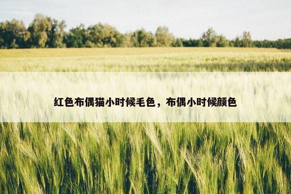 红色布偶猫小时候毛色，布偶小时候颜色