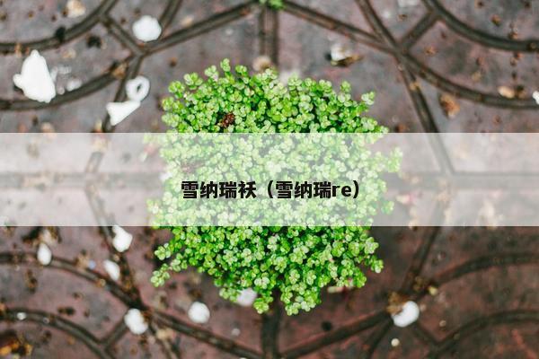 雪纳瑞袄（雪纳瑞re）