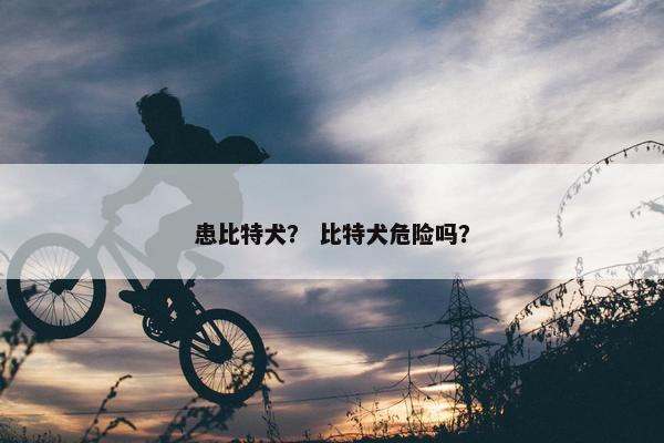 患比特犬？ 比特犬危险吗？