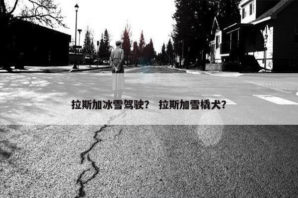 拉斯加冰雪驾驶？ 拉斯加雪橇犬？