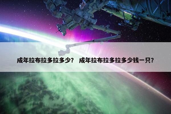成年拉布拉多拉多少？ 成年拉布拉多拉多少钱一只？