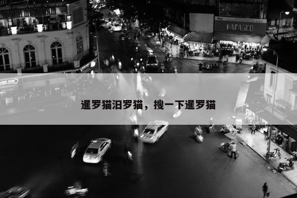 暹罗猫汨罗猫，搜一下暹罗猫