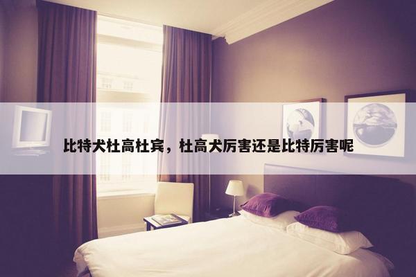 比特犬杜高杜宾，杜高犬厉害还是比特厉害呢