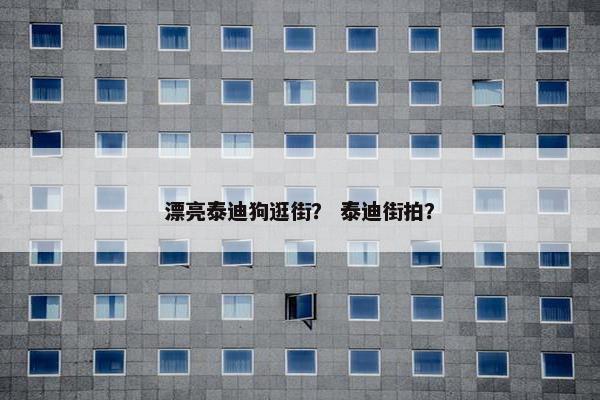 漂亮泰迪狗逛街？ 泰迪街拍？