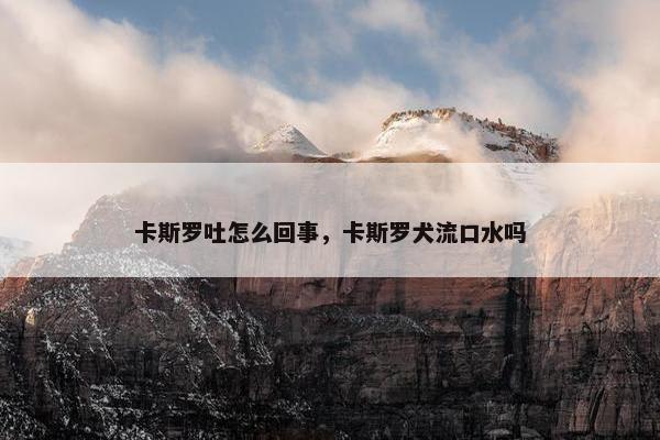 卡斯罗吐怎么回事，卡斯罗犬流口水吗