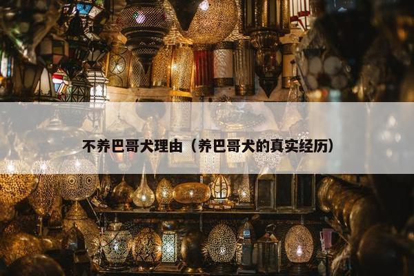不养巴哥犬理由（养巴哥犬的真实经历）