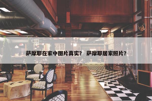 萨摩耶在家中图片真实？ 萨摩耶居家照片？