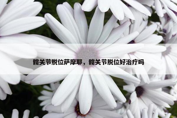 髋关节脱位萨摩耶，髋关节脱位好治疗吗