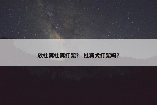 放杜宾杜宾打架？ 杜宾犬打架吗？
