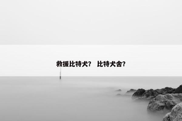 救援比特犬？ 比特犬舍？