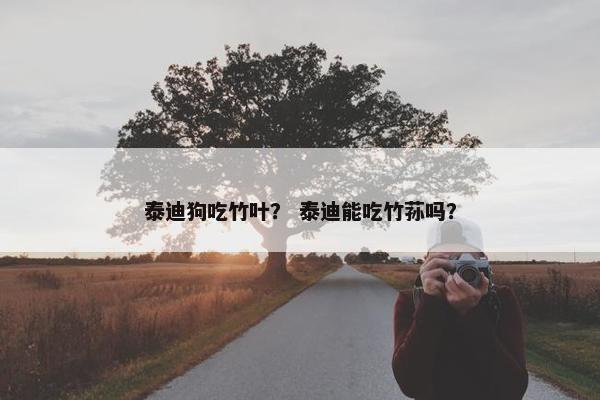 泰迪狗吃竹叶？ 泰迪能吃竹荪吗？