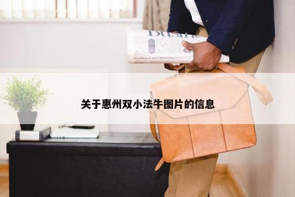 关于惠州双小法牛图片的信息