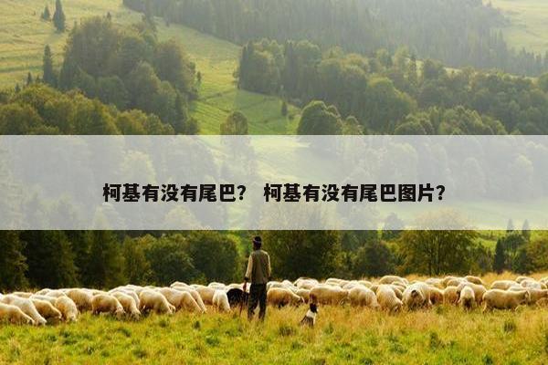 柯基有没有尾巴？ 柯基有没有尾巴图片？