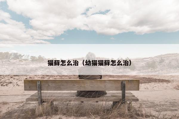 猫藓怎么治（幼猫猫藓怎么治）