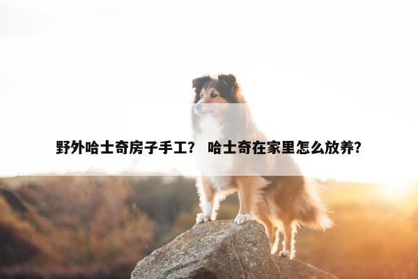 野外哈士奇房子手工？ 哈士奇在家里怎么放养？