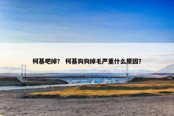 柯基吧掉？ 柯基狗狗掉毛严重什么原因？