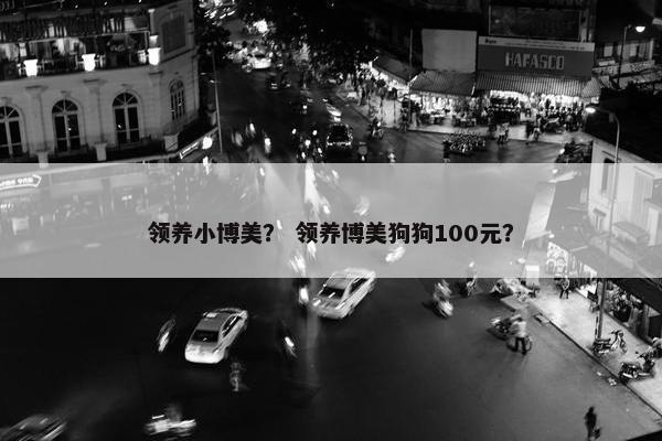 领养小博美？ 领养博美狗狗100元？