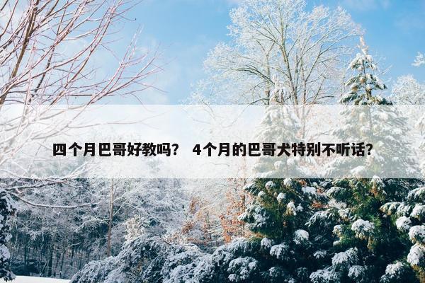 四个月巴哥好教吗？ 4个月的巴哥犬特别不听话？