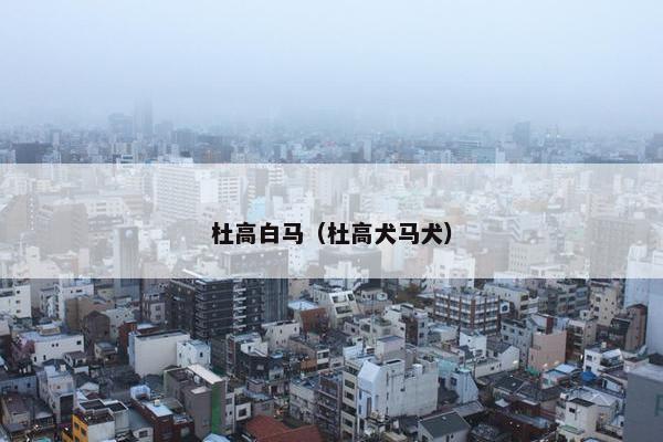 杜高白马（杜高犬马犬）