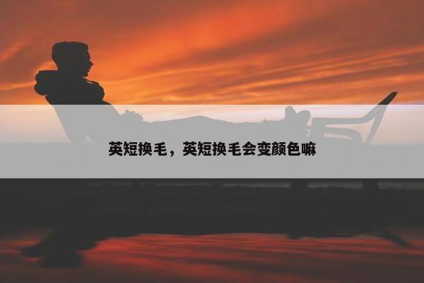 英短换毛，英短换毛会变颜色嘛