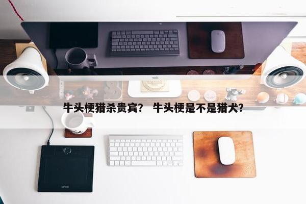 牛头梗猎杀贵宾？ 牛头梗是不是猎犬？
