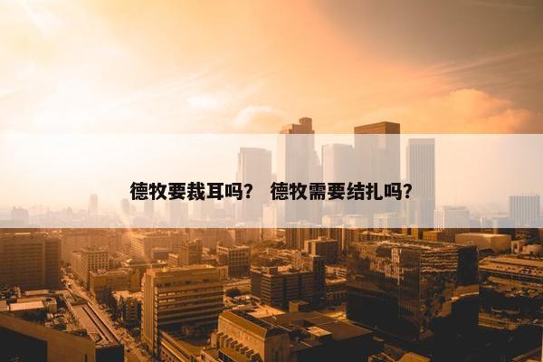德牧要裁耳吗？ 德牧需要结扎吗？