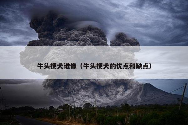 牛头梗犬谁像（牛头梗犬的优点和缺点）