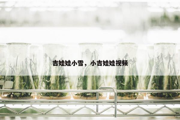 吉娃娃小雪，小吉娃娃视频