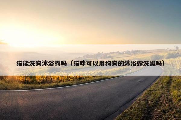 猫能洗狗沐浴露吗（猫咪可以用狗狗的沐浴露洗澡吗）