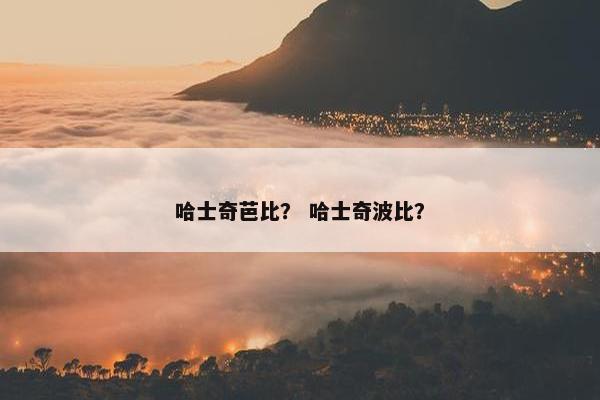 哈士奇芭比？ 哈士奇波比？