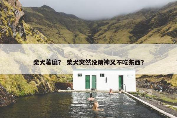 柴犬萎靡？ 柴犬突然没精神又不吃东西？
