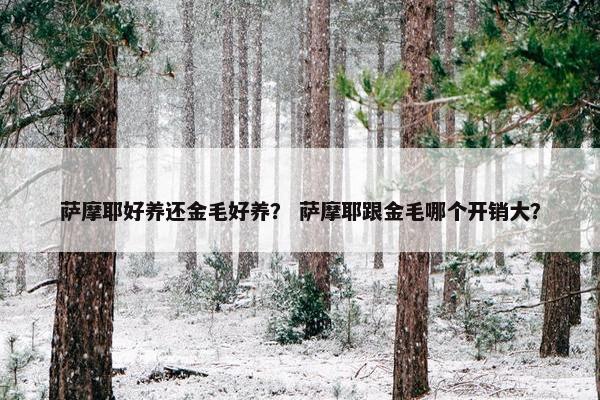 萨摩耶好养还金毛好养？ 萨摩耶跟金毛哪个开销大？
