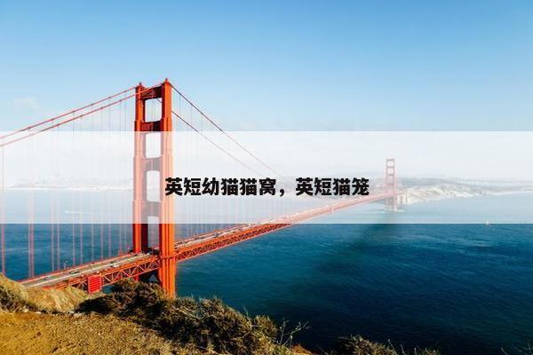 英短幼猫猫窝，英短猫笼