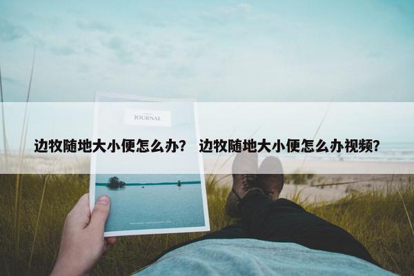 边牧随地大小便怎么办？ 边牧随地大小便怎么办视频？