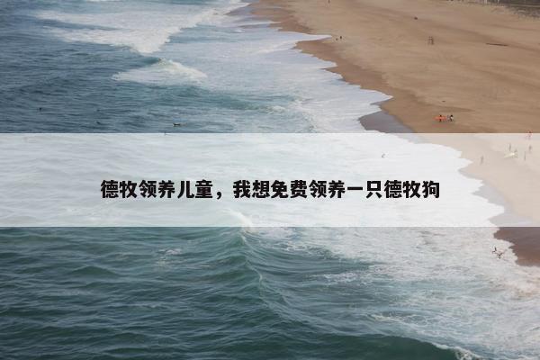 德牧领养儿童，我想免费领养一只德牧狗