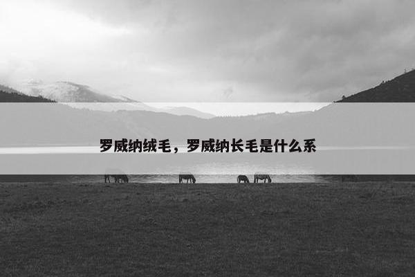罗威纳绒毛，罗威纳长毛是什么系