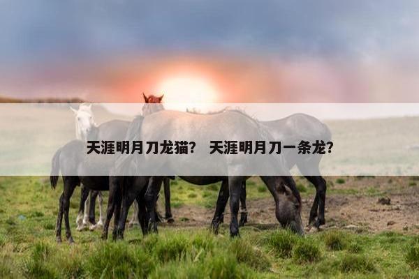 天涯明月刀龙猫？ 天涯明月刀一条龙？