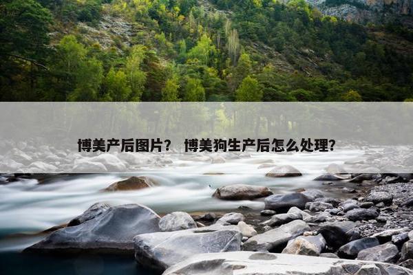 博美产后图片？ 博美狗生产后怎么处理？