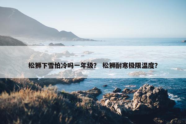 松狮下雪怕冷吗一年级？ 松狮耐寒极限温度？