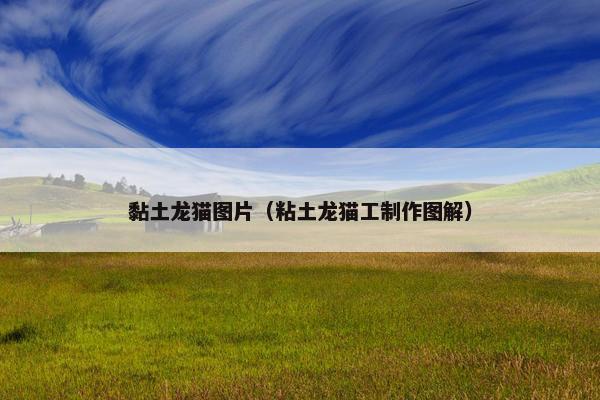 黏土龙猫图片（粘土龙猫工制作图解）