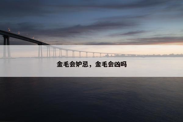 金毛会妒忌，金毛会凶吗