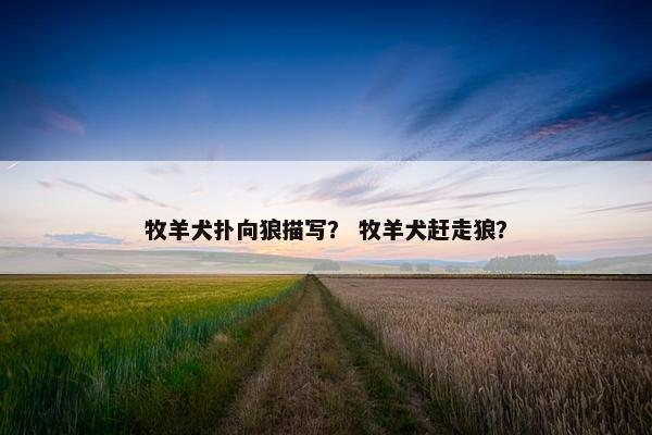 牧羊犬扑向狼描写？ 牧羊犬赶走狼？