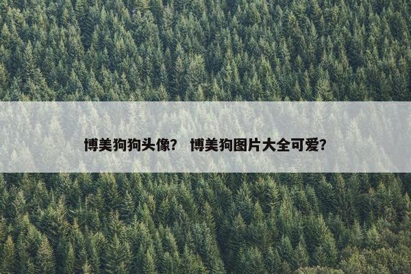 博美狗狗头像？ 博美狗图片大全可爱？