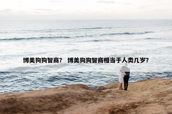 博美狗狗智商？ 博美狗狗智商相当于人类几岁？
